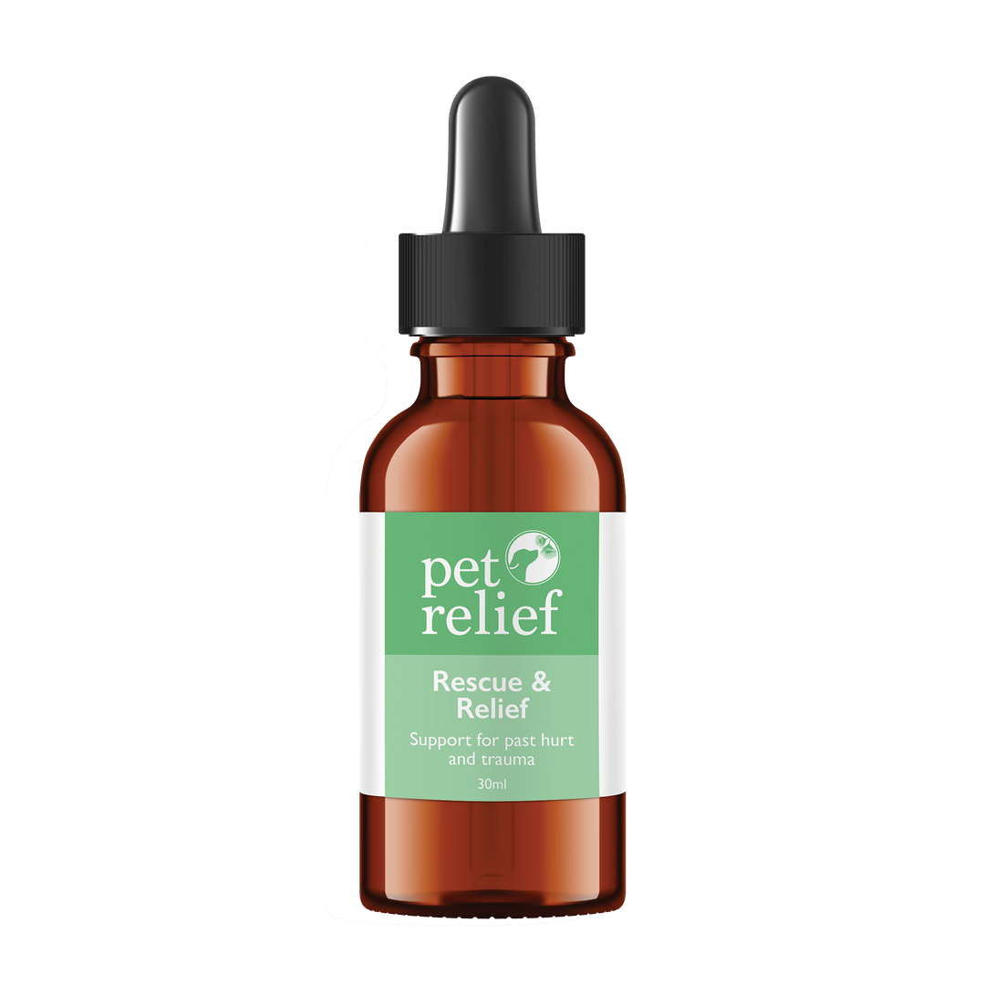 Rescue & Relief