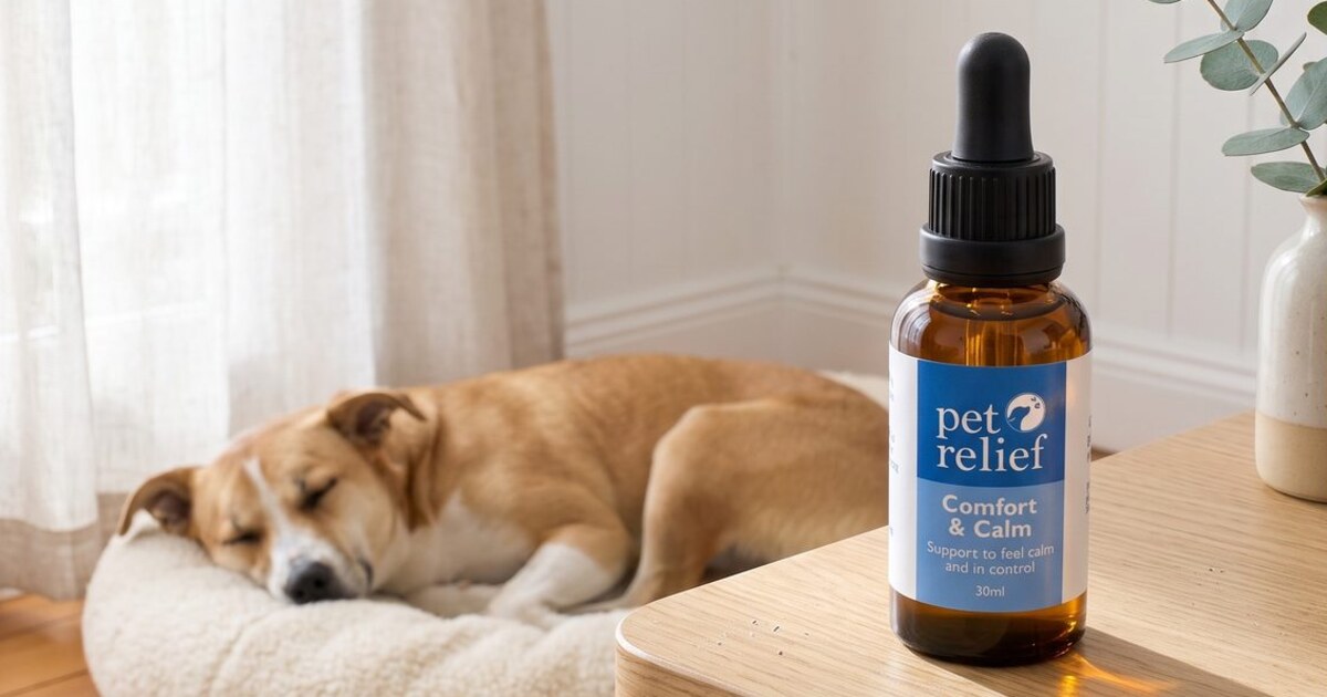Dog asleep on a soft bed beside a bottle of Pet Relief Comfort & Calm