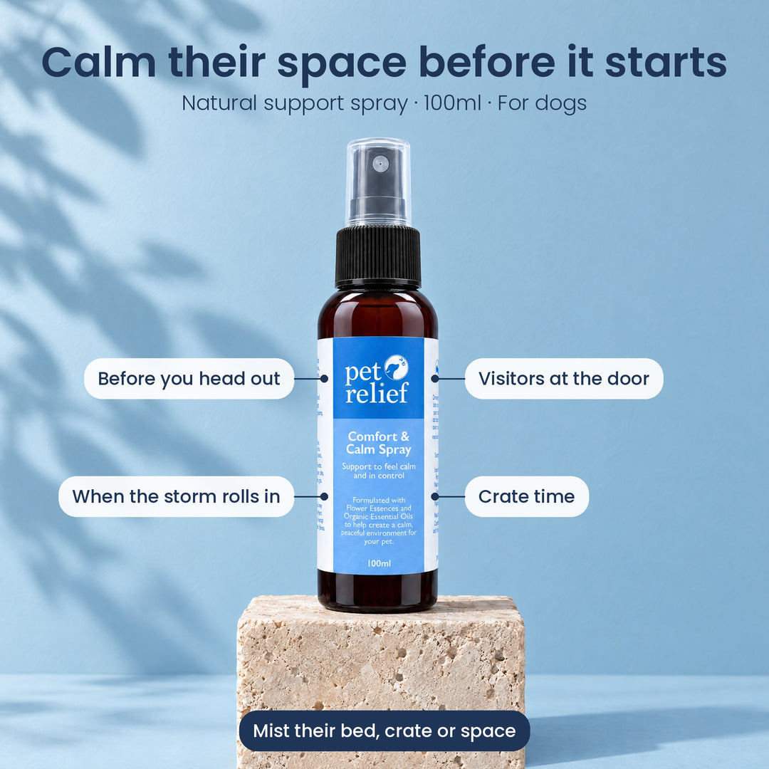 Comfort & Calm Spray