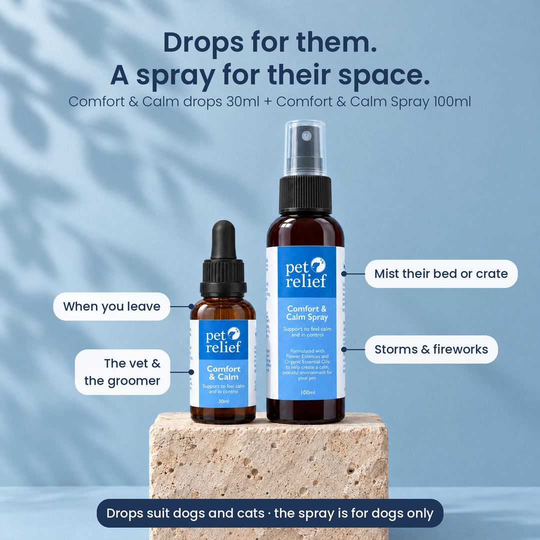 Comfort & Calm Blend and Spray Bundle