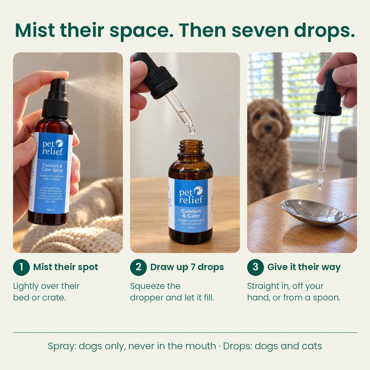 Comfort & Calm Blend and Spray Bundle