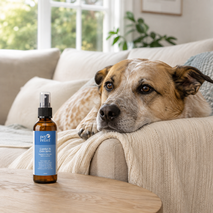 Comfort & Calm Spray