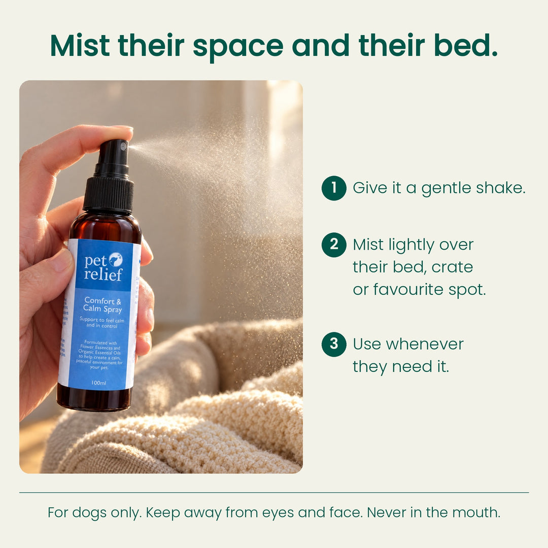 Comfort & Calm Spray