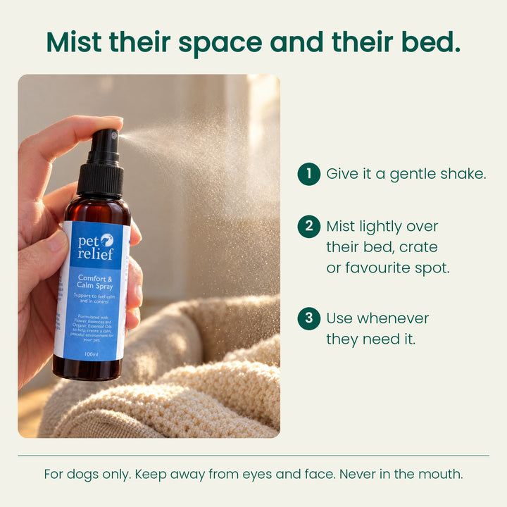 Comfort & Calm Spray