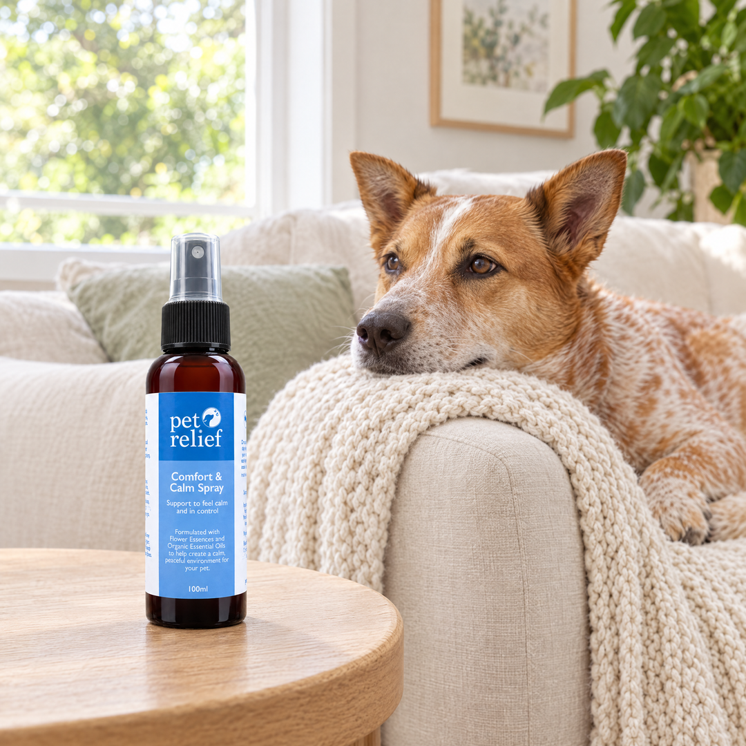 Comfort & Calm Blend and Spray Bundle