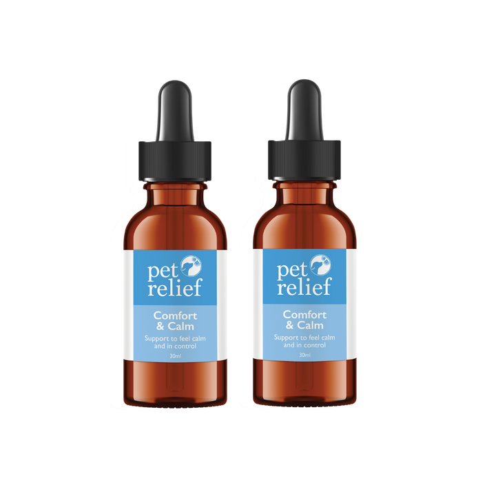Comfort & Calm Duo Bundle