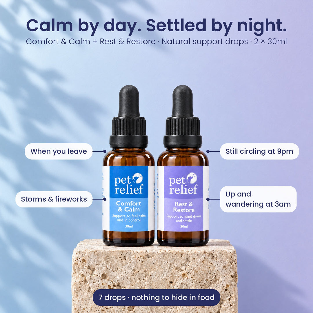 Comfort & Calm and Rest & Restore Bundle