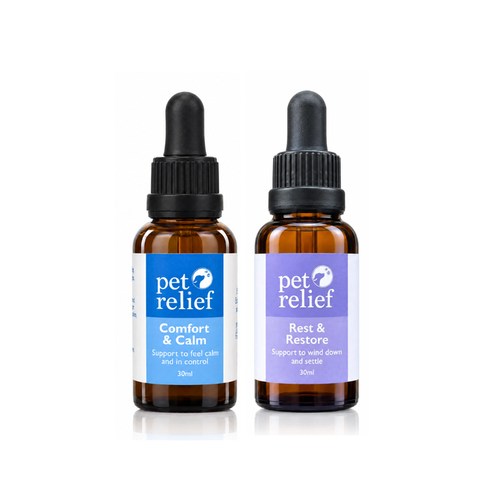 Comfort & Calm and Rest & Restore Bundle