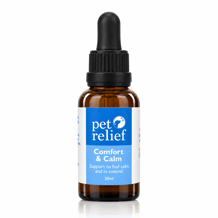 Comfort & Calm Blend and Spray Bundle