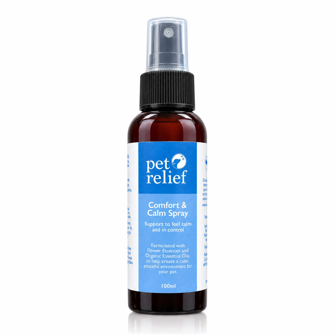 Comfort & Calm Blend and Spray Bundle