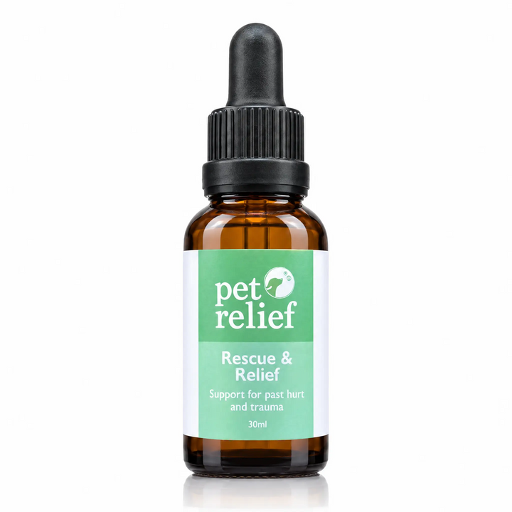 Rescue & Relief