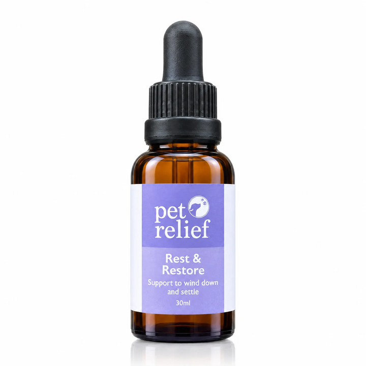 Rest & Restore