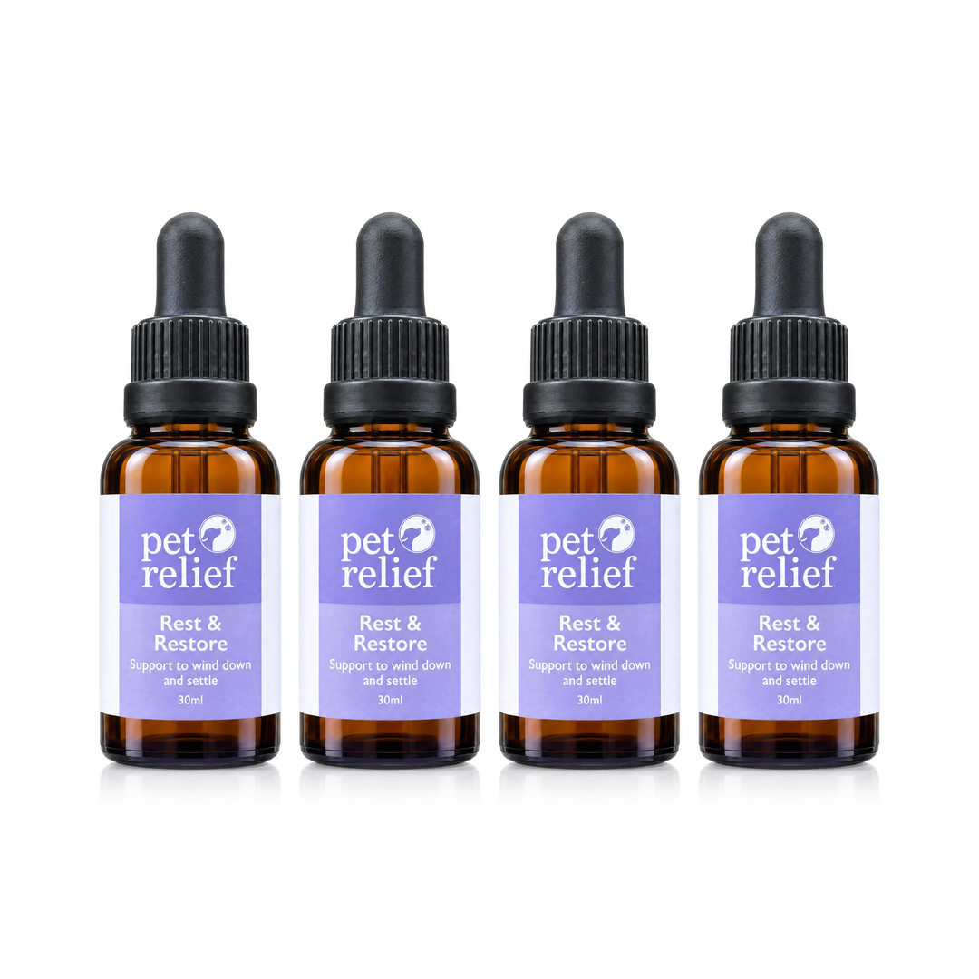 Rest & Restore 4 Pack