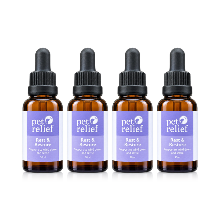 Rest & Restore 4 Pack
