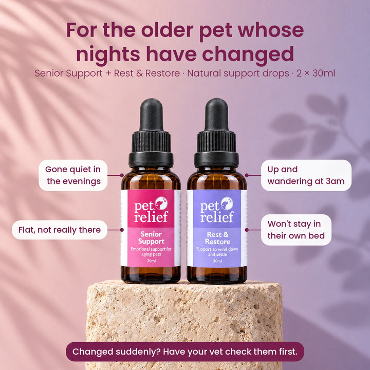 Senior Support and Rest & Restore Bundle