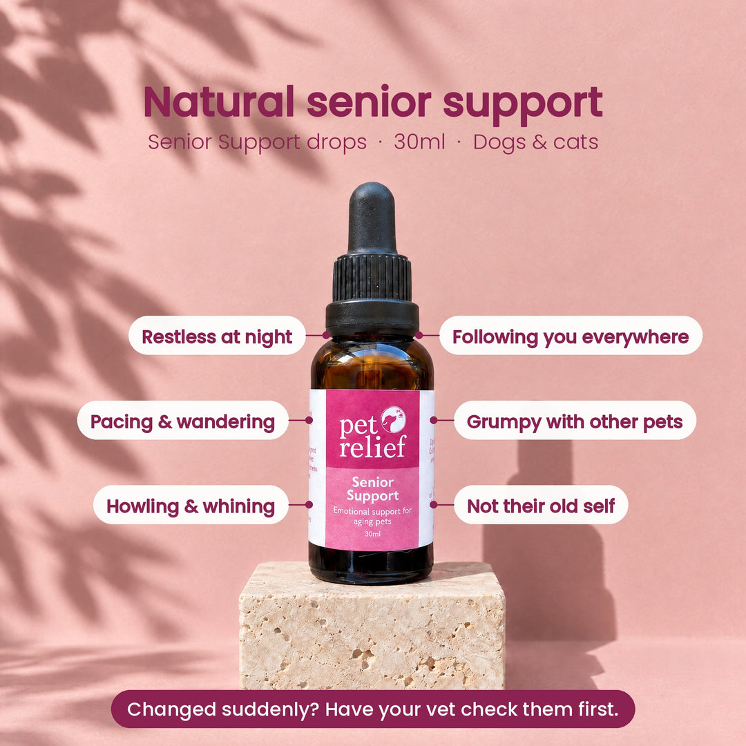 Senior Support