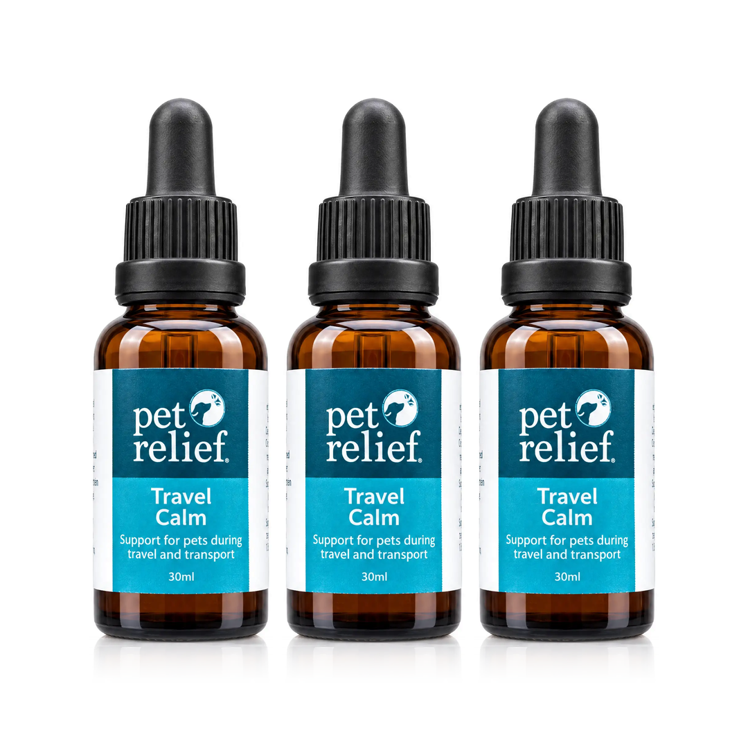 Travel Calm 3 Pack