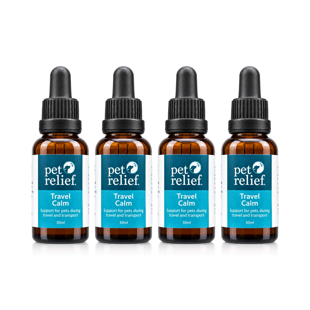 Travel Calm 4 Pack