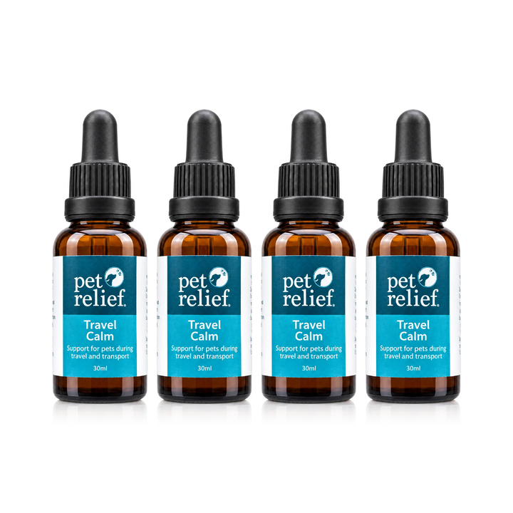 Travel Calm 4 Pack