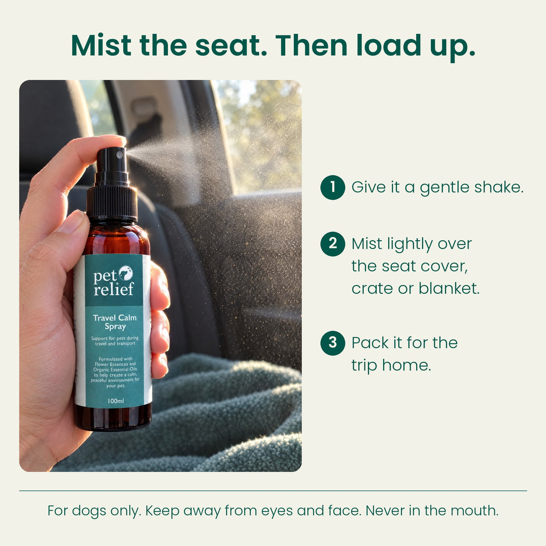Travel Calm Spray