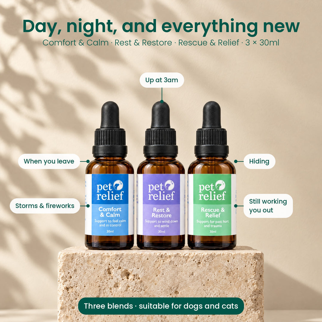 Pet Relief Trio Bundle