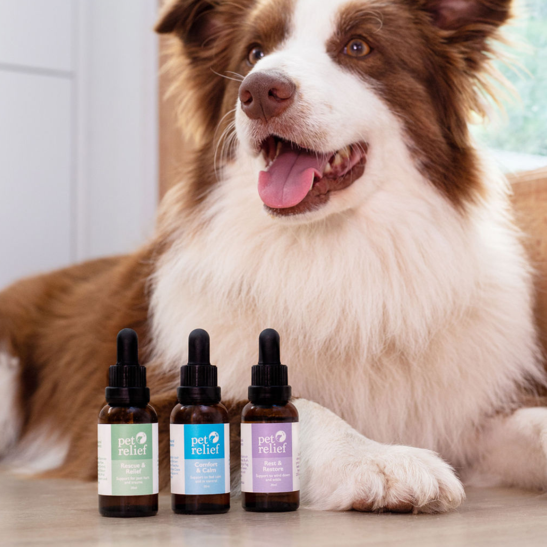 Pet Relief Trio Bundle